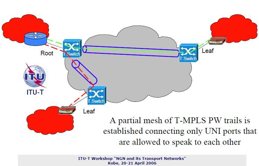 Ethernet over MPLS. Канал обмена Ethernet over transport. Management Leaf Switches.
